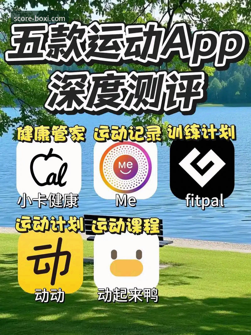 资深用户亲测：博喜体育APP下载与深度使用全攻略